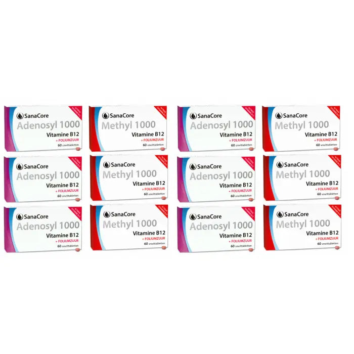 Sanacore B12 PAKKET BASIC 12 maand met foliumzuur - 123superfoods