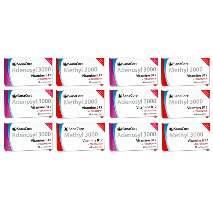 Sanacore B12 PAKKET STRONG 12 MAAND met foliumzuur - 123superfoods